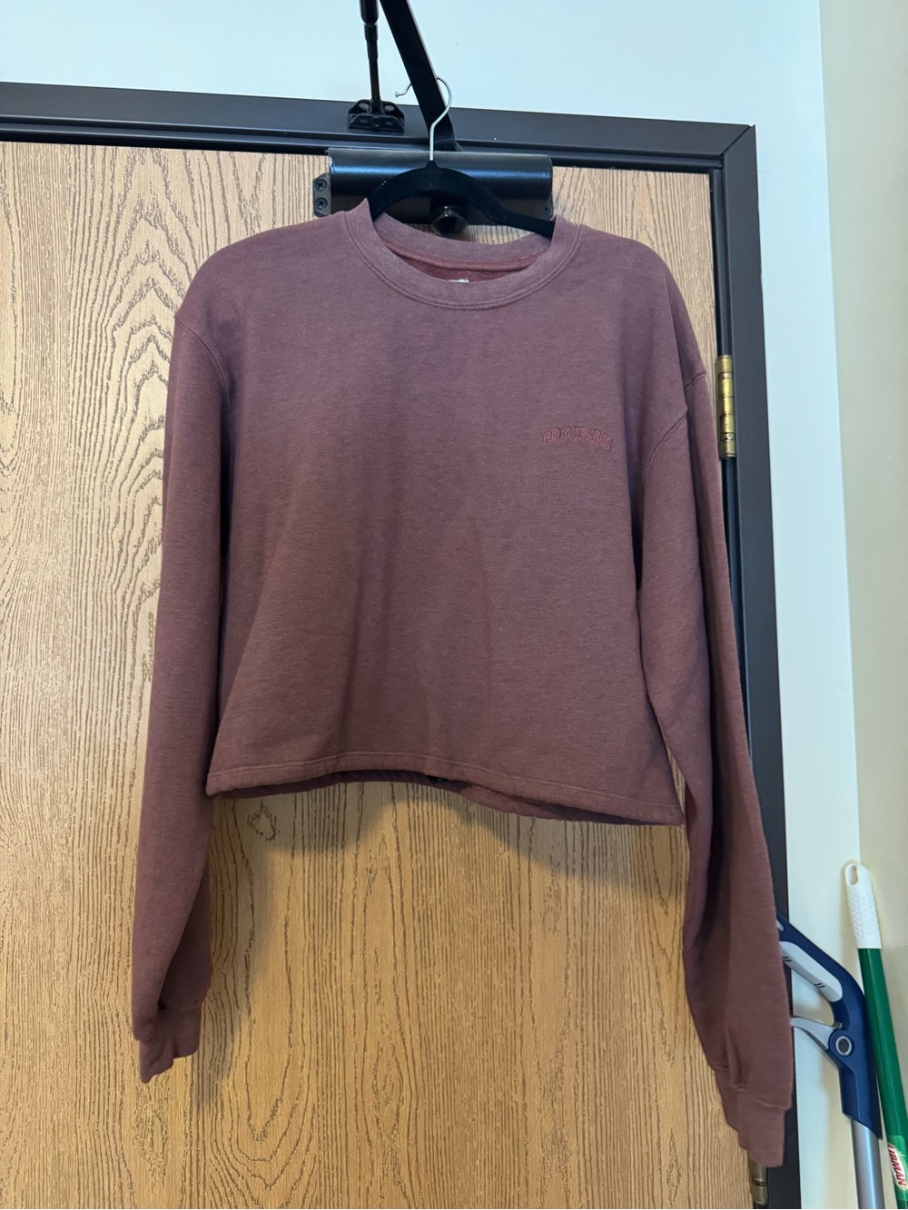 BDG Cropped Crewneck Sweatshirt in Dusty Plum